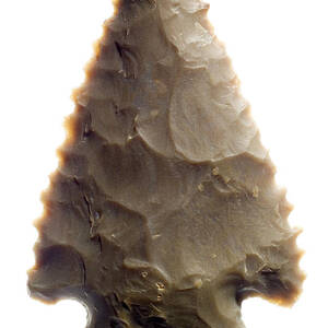 Native American Arrowhead by Science Photo Library