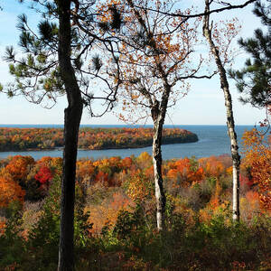 Nicolet Bay Fall View by David T Wilkinson