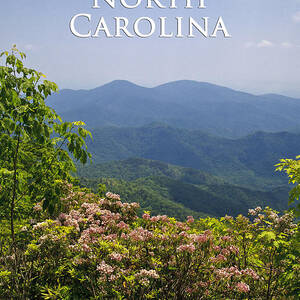 North Carolina Mountains by Jill Lang