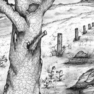 Old Oak Tree with Birds' Nest Black and White by Ashley Goforth