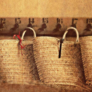 https://render.fineartamerica.com/images/rendered/square-dynamic/small/images-medium-large-5/old-time-shopping-baskets-georgina-noronha.jpg