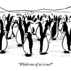 One Penguin In A Large Group Of Penguins Speaks by Kaamran Hafeez