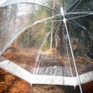 Open umbrella with water drops in the forest by Matthias Hauser