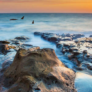 Orcas Triptych 2 by Robert Bynum