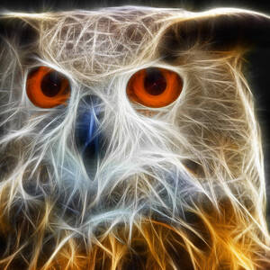 Owl fractal art by Matthias Hauser