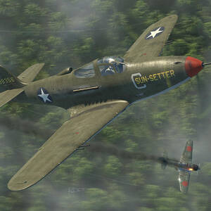 P-39 Airacobra vs. Zero by Robert D Perry