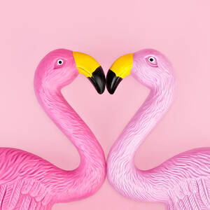 Pair Of Flamingos by Juj Winn
