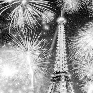 Parisian Fireworks Over The Eiffel Tower by Mark Tisdale