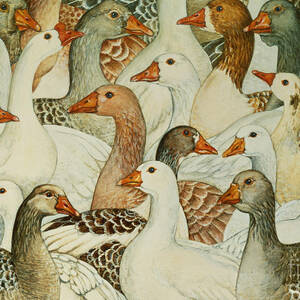 Patchwork Geese by Ditz
