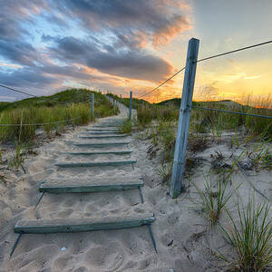 Path Over The Dunes by Sebastian Musial