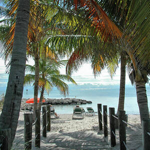 Path To Smathers Beach - Key West by Frank Mari