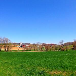 Peach Bottom by Chris Montcalmo