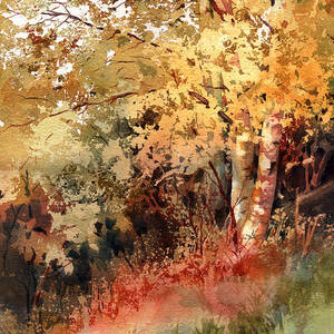 Peak Color by Kris Parins