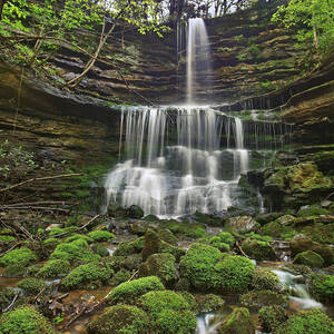 Pearly Springs Waterfall Buffalo by Tim Fitzharris
