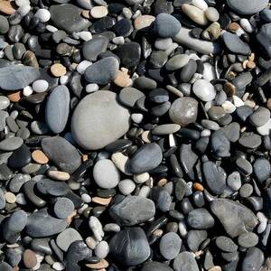 Pebbles On A Beach by Science Photo Library