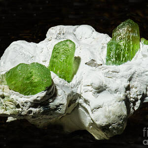 Peridot Crystals by Millard H. Sharp