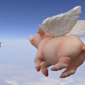 Pigs Fly 2 by Mike McGlothlen