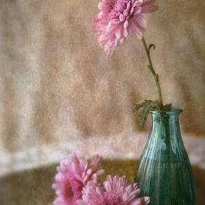 Pink And Aqua Photograph by Dale Kincaid | Fine Art America