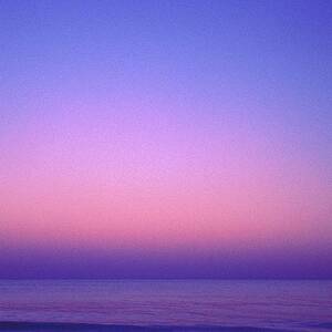 Pink Ocean by Carol Whaley Addassi