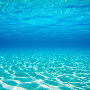Plain Underwater Shot by M Swiet Productions