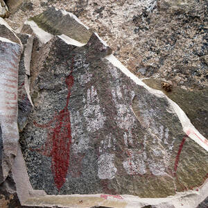 Prehistoric Painting Of A Duck by Science Photo Library