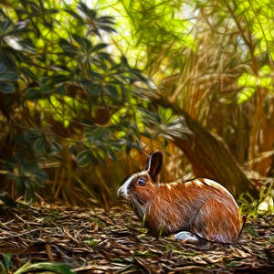 Rabbit - 1983 - Modern Rabbit Art by James Ahn