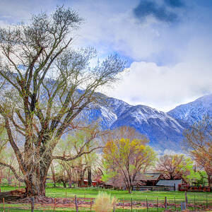 Ranch in Early Spring by Carla E