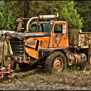 Ready for Snow By Ron Roberts by Ron Roberts