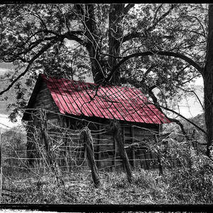 Red Roof by Debra and Dave Vanderlaan