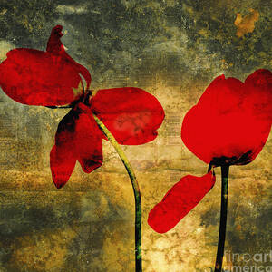Red tulips on a textured background by Bernard Jaubert
