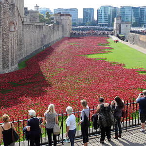Remembrance Poppies at Tower of London by Julia Gavin