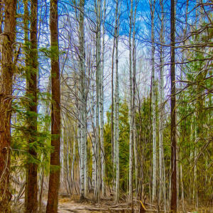 River Run Trail at Arrowleaf by Omaste Witkowski