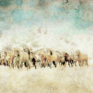 Roaming Horses by Ynon Mabat