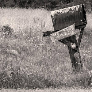 Rural Route Mail Call  by Macro Abundance Art