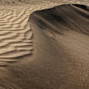 Sand Pattern Abstract - 2 by Nikolyn McDonald