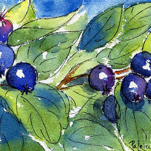 Saskatoon Berries by Pat Katz