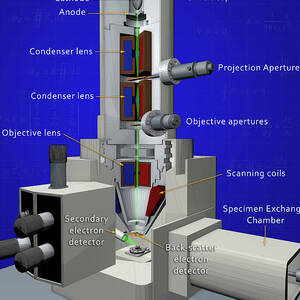 Scanning Electron Microscope by Science Photo Library