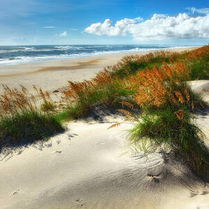 Seaside Serenity I - Outer Banks by Dan Carmichael