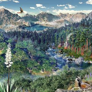 Sequoia And Kings Canyon Ecology by Science Photo Library