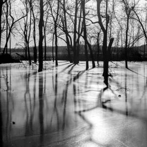 Serenity Frozen by Kevin Anderson