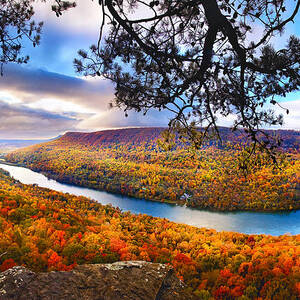 Signal Point At Fall by Steven Llorca