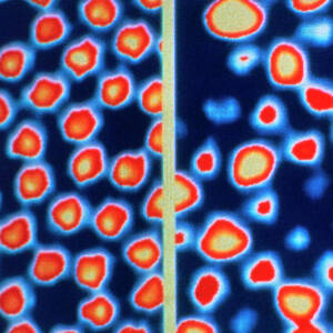 Silicon Atoms by Science Photo Library