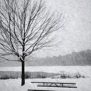 Snow Covered Picnic Table by Crystal Wightman