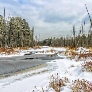 Devils Den in The Pine Barrens Photograph by Louis Dallara - Pixels