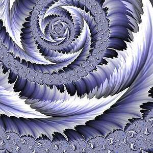 Spiral Leaf Abstract by John Edwards