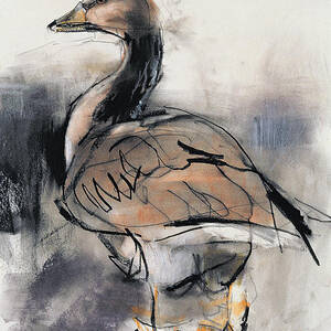 Spitalfields Goose, 1997 Graphite And Conte On Paper by Mark Adlington