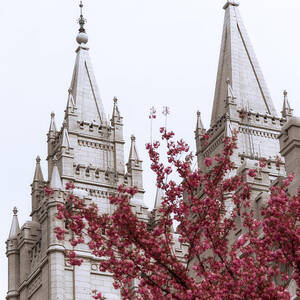 Spring at the Temple by Chad Dutson