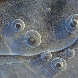 Spring Ice 3 by Sue Capuano
