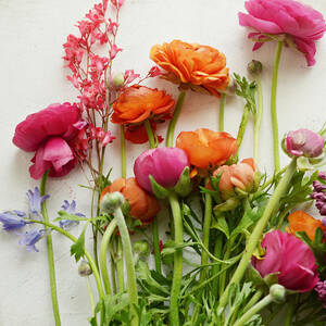 Spring Joy by Lupen Grainne