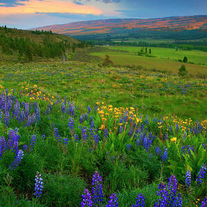 Spring Storm Passing by Michael Dawson